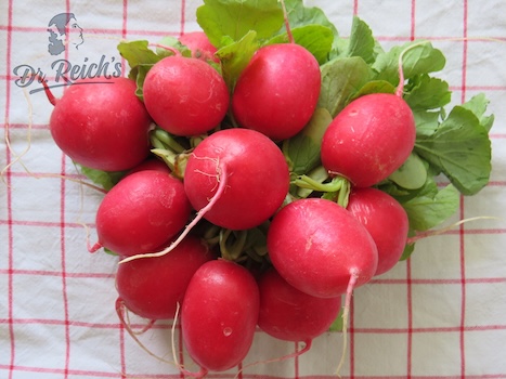 Low FODMAP Salat Radieschen