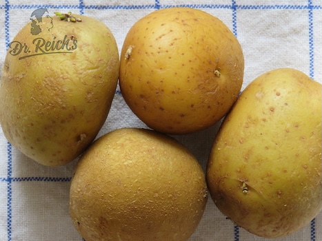 Low FODMAP Kartoffel mit resistenter Stärke